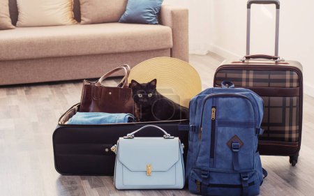 Photo for Suitcases packed for travel and pet cat, travel pet problem - Royalty Free Image