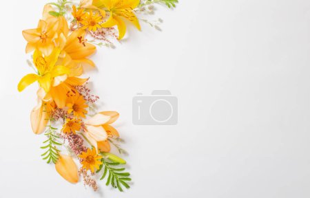 Téléchargez les photos : Fleurs d'été lumineuses sur fond blanc - en image libre de droit