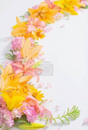 Téléchargez les photos : Fleurs d'été lumineuses sur fond blanc - en image libre de droit