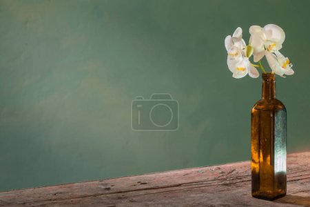 Téléchargez les photos : Fleurs d'orchidée en bouteille sur fond sombre - en image libre de droit
