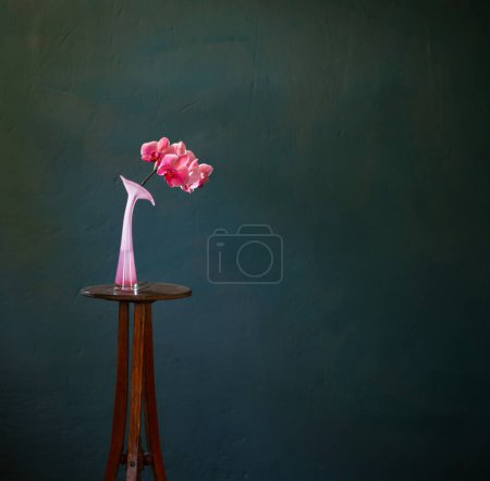 Foto de Orquídea rosa en jarrón de cristal sobre fondo oscuro - Imagen libre de derechos