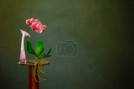 Foto de Orquídea rosa en estante de madera vintage con gotas de lluvia sobre fondo oscuro - Imagen libre de derechos