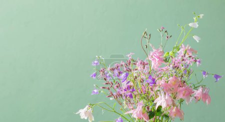 Téléchargez les photos : Belles fleurs sauvages sur fond vert - en image libre de droit