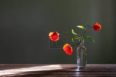 Foto de Amapola roja en botella de vidrio sobre fondo verde - Imagen libre de derechos