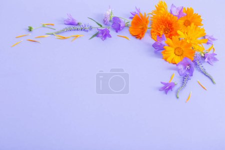 Téléchargez les photos : Fleurs d'été sur fond de papier violet - en image libre de droit