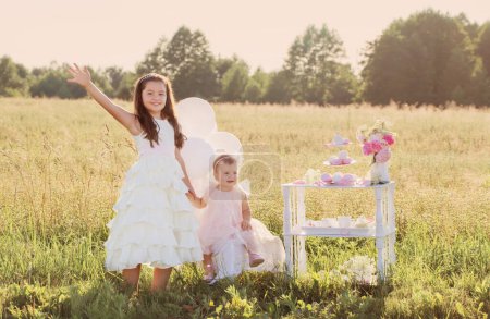Foto de Dos hermanas jóvenes en hermosos vestidos con globos, flores y dulces en el soleado campo de verano - Imagen libre de derechos