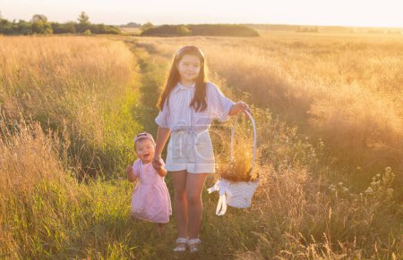 Téléchargez les photos : Deux petites sœurs dans le champ d'été au coucher du soleil - en image libre de droit