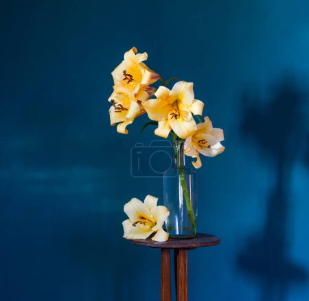 Photo for Yellow lilly on dark blue background - Royalty Free Image