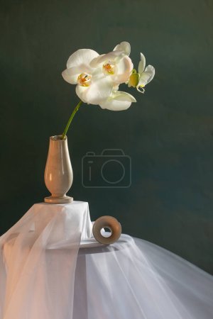 Foto de Jarrón roto con orquídea blanca en la pared verde oscuro - Imagen libre de derechos