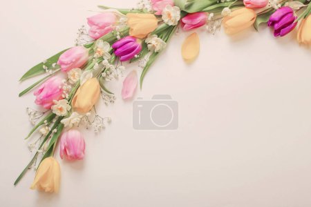 Photo for Spring flowers on white background - Royalty Free Image