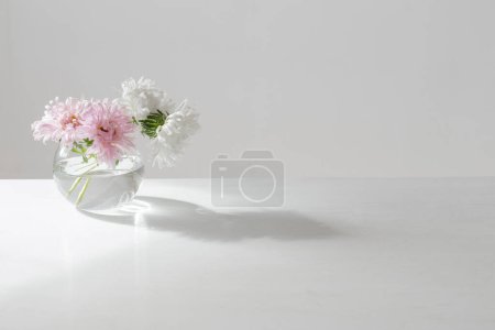 Photo for Asters in round glass vase on white background - Royalty Free Image