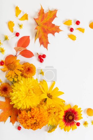Téléchargez les photos : Fleurs et feuilles d'automne sur fond de papier blanc - en image libre de droit