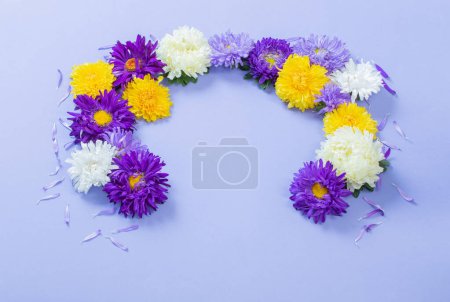 Photo for Background of beautiful asters on paper sheet - Royalty Free Image
