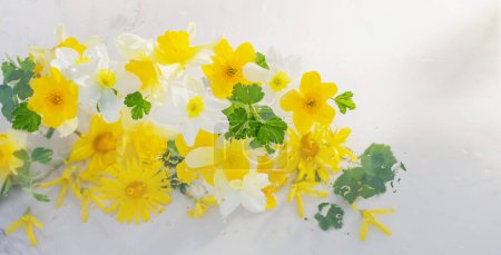 Foto de Flores amarillas de primavera con gotas de lluvia sobre fondo de mármol blanco - Imagen libre de derechos