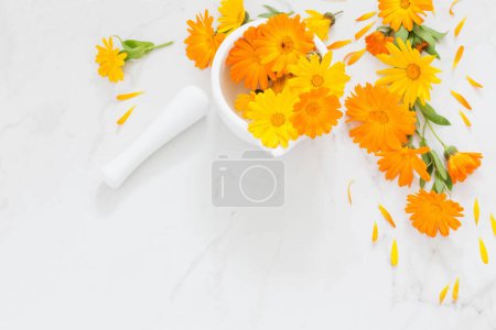 Téléchargez les photos : Fleurs de souci orange sur fond de marbre blanc - en image libre de droit