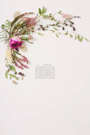 Foto de Flores secas sobre fondo blanco - Imagen libre de derechos