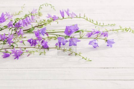 Photo for Bluebell flowers  on white wooden background - Royalty Free Image