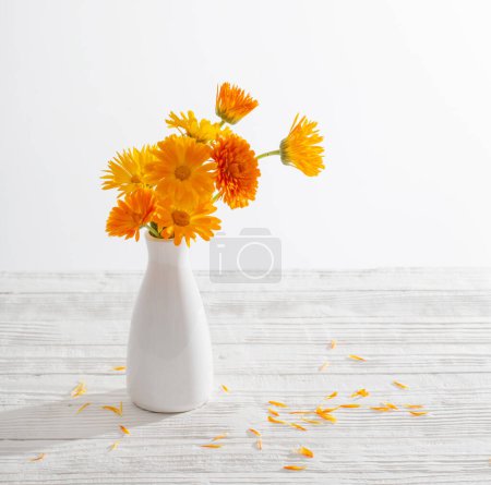 Foto de Caléndula naranja en jarrón blanco sobre fondo blanco - Imagen libre de derechos