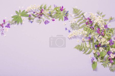 Photo for Spring flowers on violet paper background - Royalty Free Image