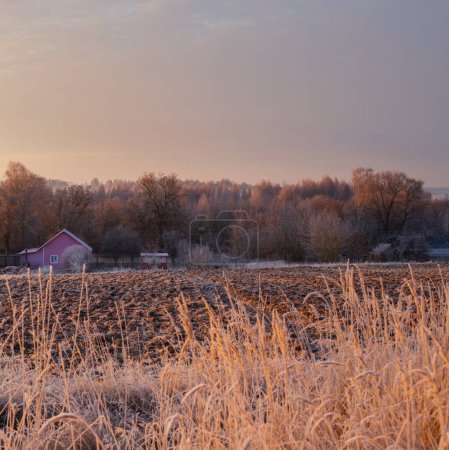 Téléchargez les photos : Magnifique hiver paysage rural gelé au coucher du soleil - en image libre de droit