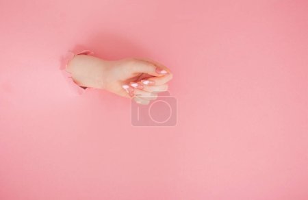 Photo for Female hands with beautiful long nails with  manicure  on pink paper  background - Royalty Free Image