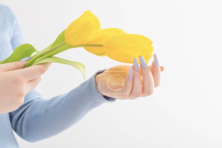 Téléchargez les photos : Mains féminines avec belle manucure et fleurs de tulipes sur fond blanc - en image libre de droit