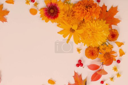 Téléchargez les photos : Fleurs et feuilles d'automne sur fond de papier rose - en image libre de droit
