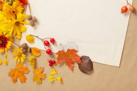Foto de Flores y hojas de otoño sobre fondo de papel - Imagen libre de derechos