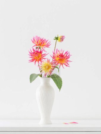 Photo for Beautiful pink dahlia in white vase on white background - Royalty Free Image