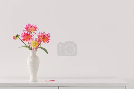 Beautiful pink dahlia in white vase on white background