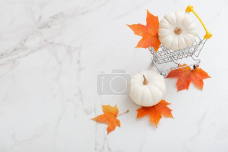 Téléchargez les photos : Citrouille blanche dans un petit chariot d'épicerie avec des feuilles d'érable orange sur fond de marbre - en image libre de droit