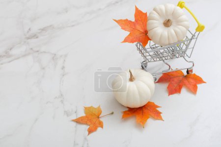 Foto de Calabaza blanca en pequeño carrito de comestibles con hojas de arce naranja sobre fondo de mármol - Imagen libre de derechos