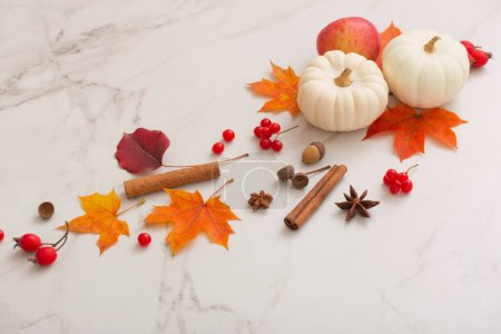 Foto de Decoración natural de otoño sobre fondo de mármol blanco - Imagen libre de derechos