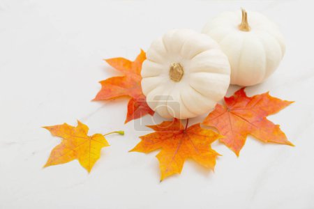 Téléchargez les photos : Citrouilles blanches et feuilles d'érable orange sur fond de marbre blanc - en image libre de droit