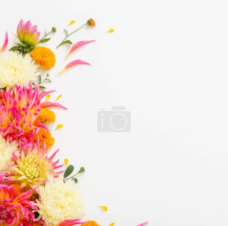Foto de Hermosa composición de flores sobre fondo blanco - Imagen libre de derechos