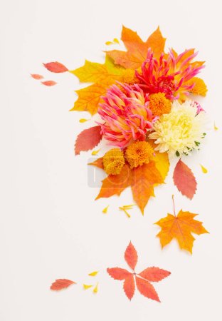 Photo for Autumn leaves and  flowers composition on white background - Royalty Free Image