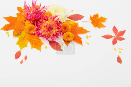 Téléchargez les photos : Feuilles et fleurs d'automne composition sur fond blanc - en image libre de droit