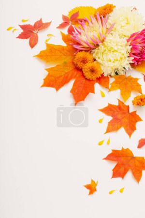 Foto de Composición de hojas y flores de otoño sobre fondo blanco - Imagen libre de derechos