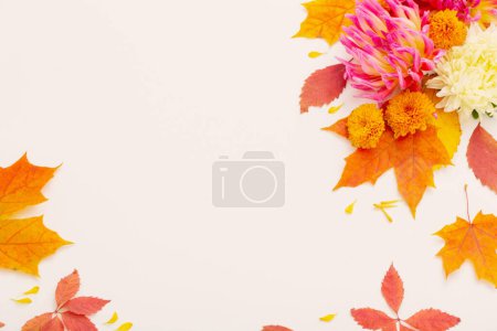 Foto de Composición de hojas y flores de otoño sobre fondo blanco - Imagen libre de derechos