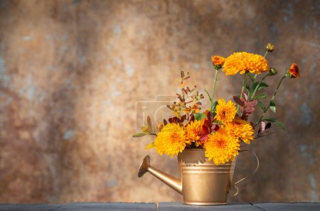 Photo for Chrysanthemum flowers in golden watering can  on background old wall in sunlight - Royalty Free Image