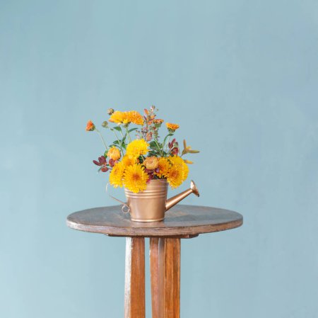 Téléchargez les photos : Fleurs de chrysanthème en arrosoir sur fond bleu - en image libre de droit