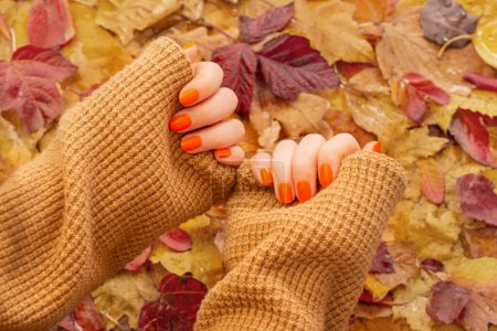 Téléchargez les photos : Mains féminines avec manucure orange sur fond de feuilles d'automne - en image libre de droit