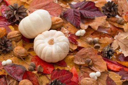 Foto de Fondo de otoño con calabaza blanca y hojas otoñales coloridas - Imagen libre de derechos