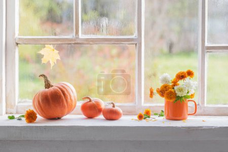 Photo for Autumn flowers and pumpkins  on old white windowsill - Royalty Free Image