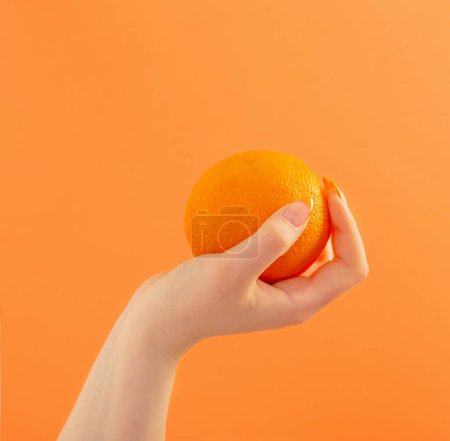 Téléchargez les photos : Main féminine avec orange sur fond orange - en image libre de droit