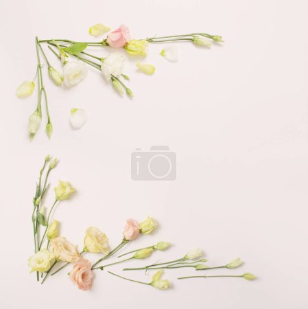 Foto de Primavera hermosas flores sobre fondo blanco - Imagen libre de derechos