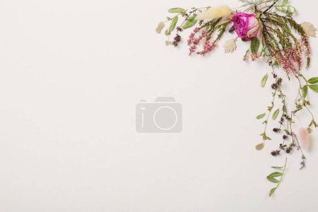 Photo for Dried flowers on white background - Royalty Free Image
