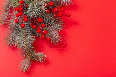 Foto de Ramas de abeto verde sobre fondo rojo navidad - Imagen libre de derechos