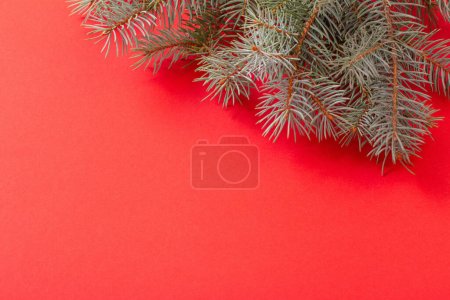 Photo for Green fir branches on red christmas background - Royalty Free Image