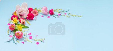 Foto de Hermosas flores de primavera sobre fondo azul - Imagen libre de derechos